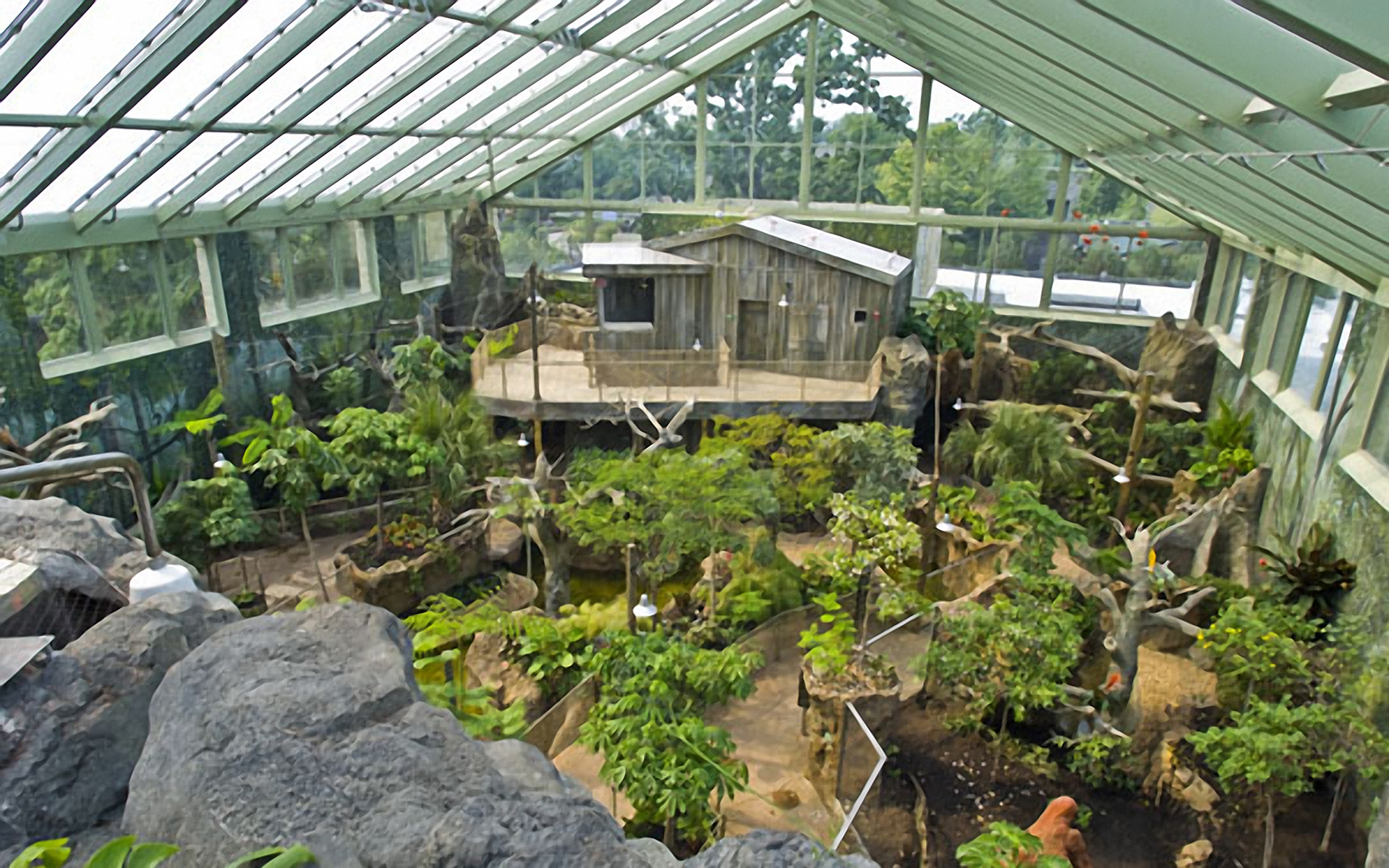 Tropical rain forest in Buffalo, new York.