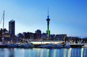 City skyline with harbor full of boats.