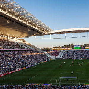 Soccer pitch.